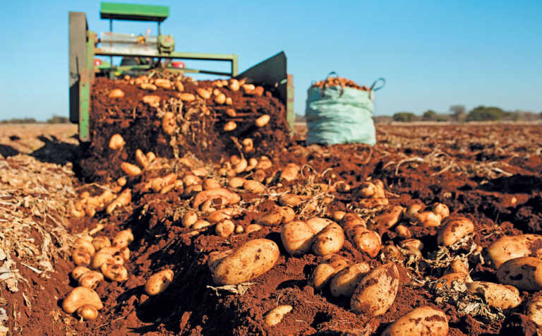 ‘Quality drives demand’ – SA potato farmer of the year ‘Quality drives demand’ – SA potato farmer of the year