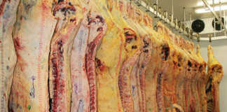 Africa blocks SA processed meat products due to listeriosis