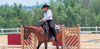 Opening a gate from horseback 17 NOVEMBER