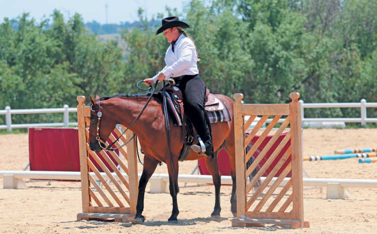 Opening a gate from horseback