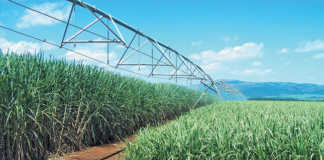 Smarter ways to irrigate sugarcane