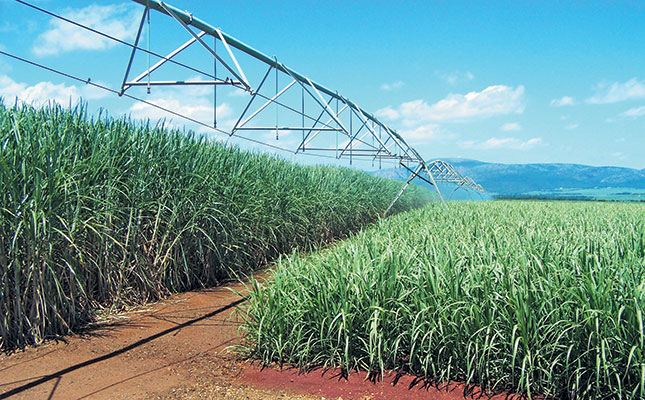 Smarter ways to irrigate sugar cane