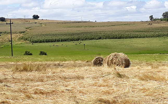 Extension of comments on land expropriation welcomed Extension of comments on land expropriation welcomed