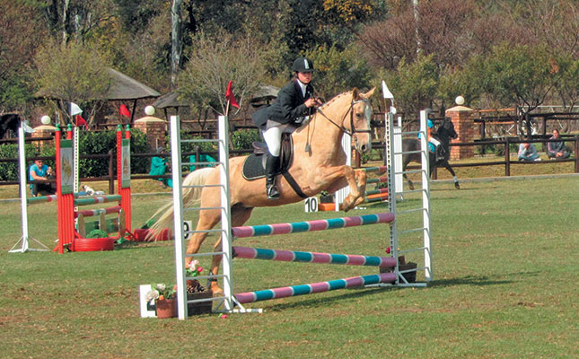 How stride length influences your horse’s jump