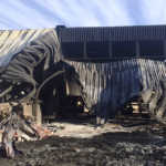 Arson suspected in citrus pack-house fire