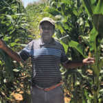 Thulo-Mahlatsi-new-era-grain-farmer