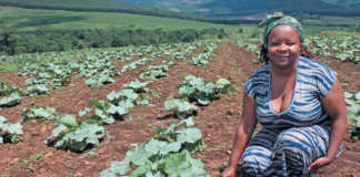 ‘Soil Sista’ profits from the informal vegetable market