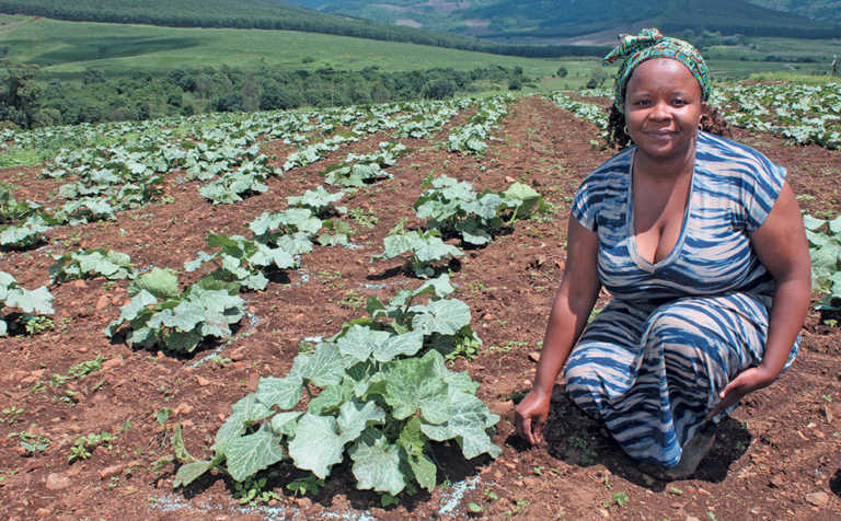 ‘Soil Sista’ profits from the informal vegetable market