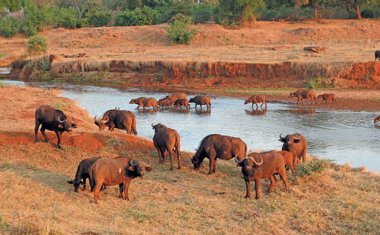 Training the future guardians of our natural environment