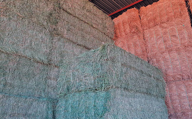 Why SA leads the world in effective lucerne hay grading