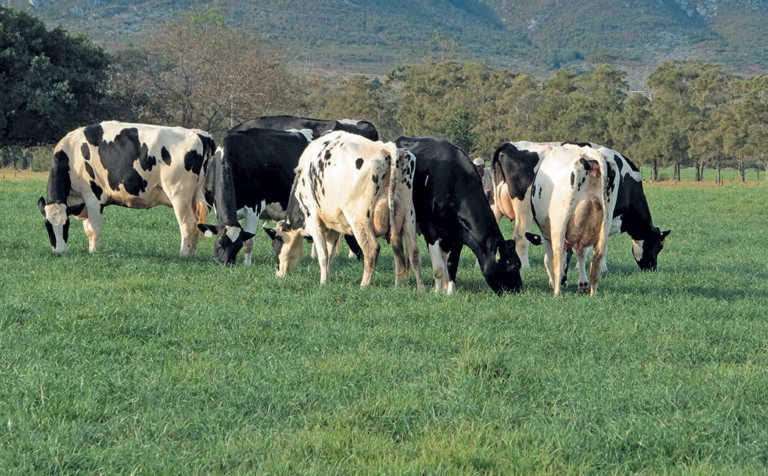 Personalised banking relationships are essential for farmers Personalised banking relationships are essential for farmers
