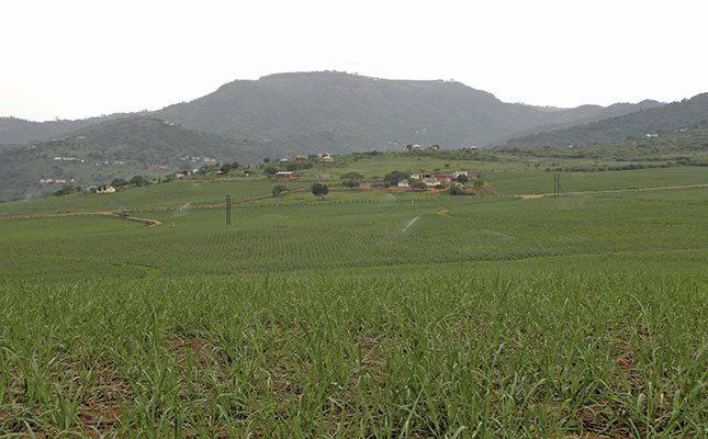 ‘Constitution not an obstacle to land reform’ – Kwanalu ‘Constitution not an obstacle to land reform’ – Kwanalu