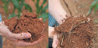 Pursuing soil health precisely