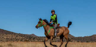 Free State junior tops the log in Fauresmith endurance ride