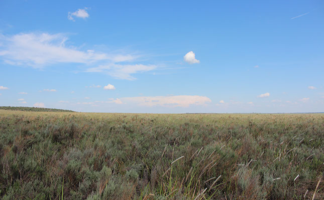 Bankrupt bush encroachment on the increase