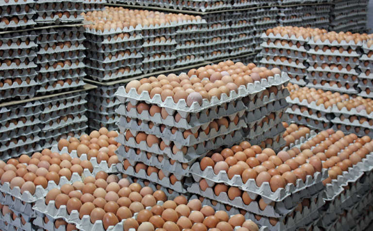 SA paves the way for US shell egg imports