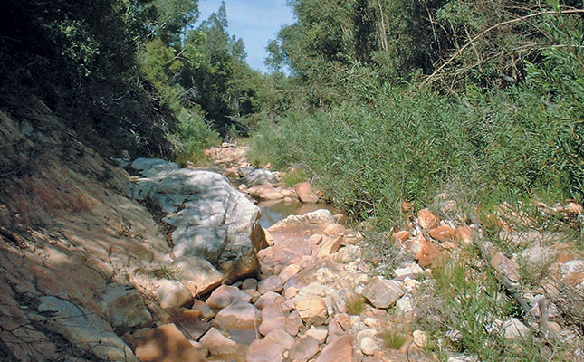 Understanding the great trout debate Understanding the great trout debate