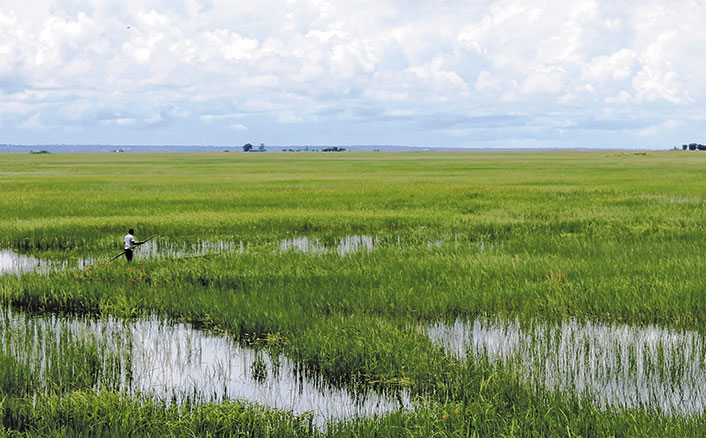 Zambia: independent maize miller a lifeline for smallholders