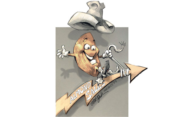 Cracking into the almond business Cracking into the almond business