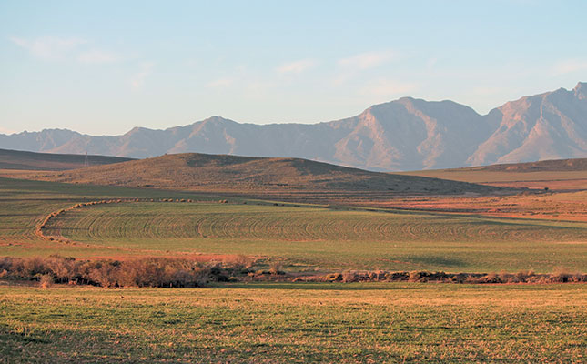 Confusion around Ramaphosa’s land expropriation announcement Confusion around Ramaphosa’s land expropriation announcement
