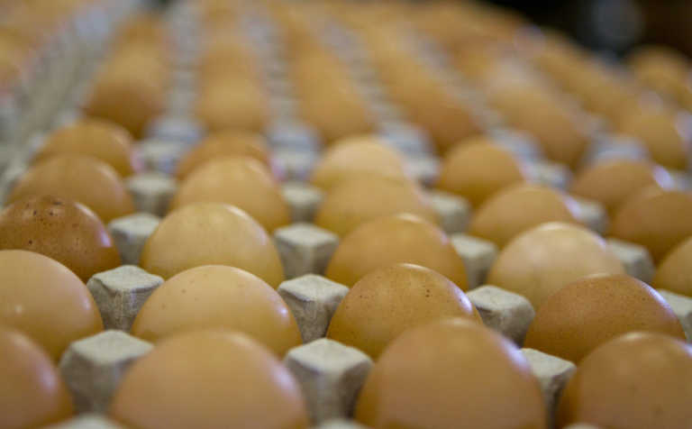 Imported table eggs recalled over labelling problems