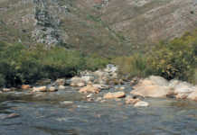 Berg River Catchment