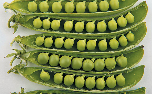 Enjoy the taste of fresh garden peas!