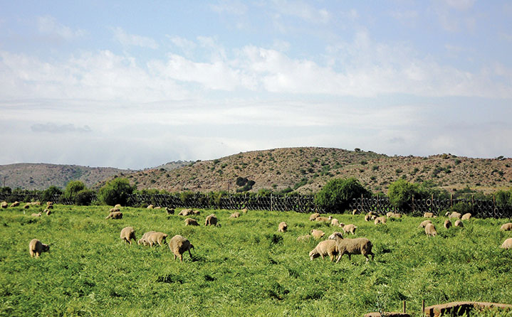Land: access vs ownership Land: access vs ownership