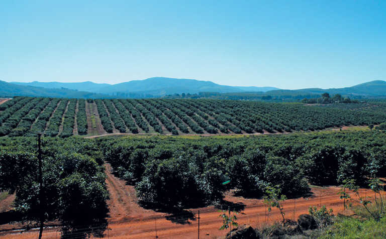Government must learn from farmers like ZZ2 – Mboweni Government must learn from farmers like ZZ2 – Mboweni