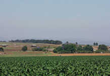 Farm land