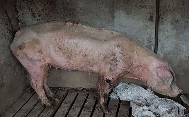 More animal neglect allegations against award-winning farmer More animal neglect allegations against award-winning farmer