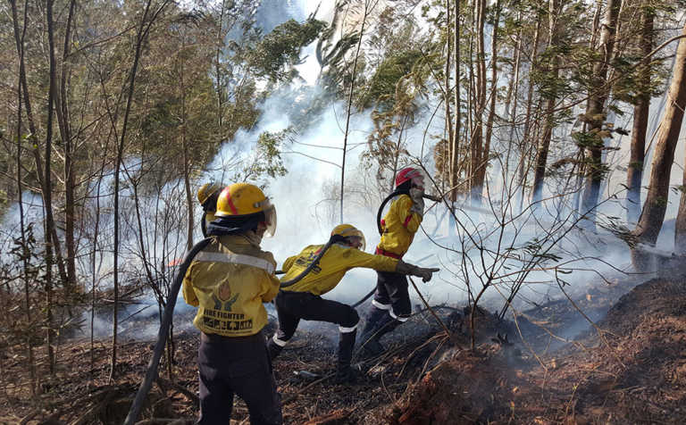 Western Cape gears up for start of fire season