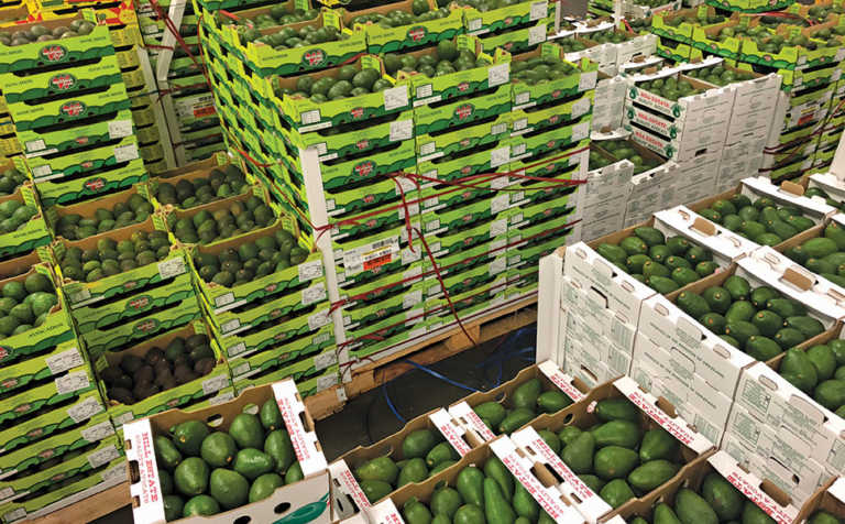 Prepare to sell much more fruit and veg online