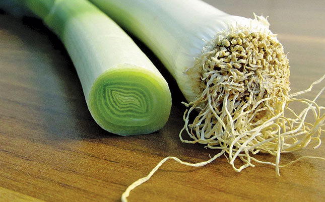Growing leeks in your garden Growing leeks in your garden