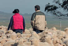 Gloomy SA needs happy farmers