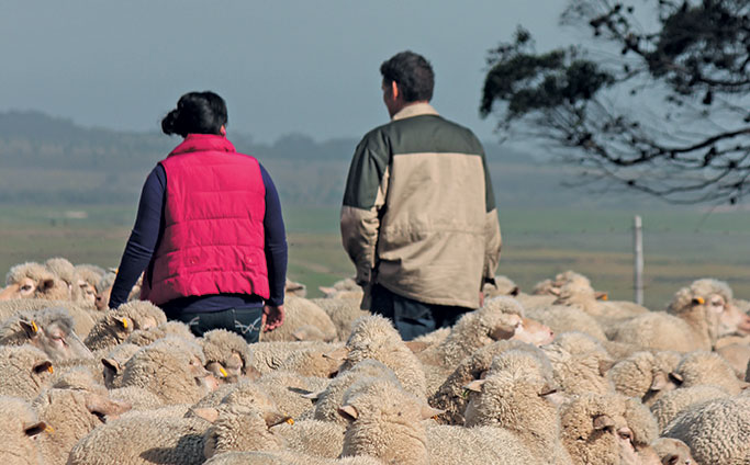 Gloomy SA needs happy farmers