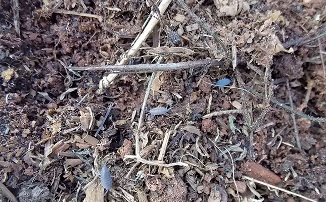 The benefits of organic matter The benefits of organic matter