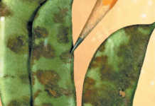 Dealing with anthracnose
