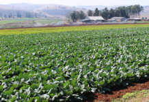 Succession: are you and your farming business ready?