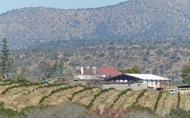 Parliament to set up land expropriation committee Parliament to set up land expropriation committee