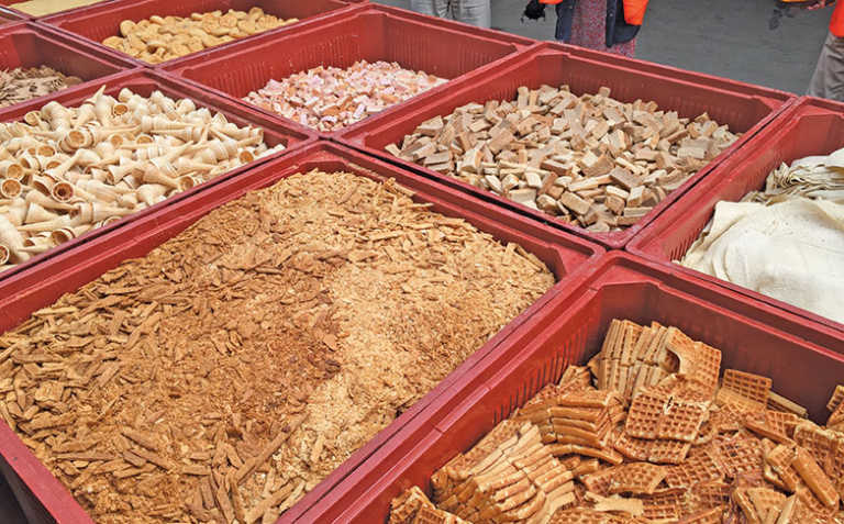 Dutch company's success in turning food waste into feed