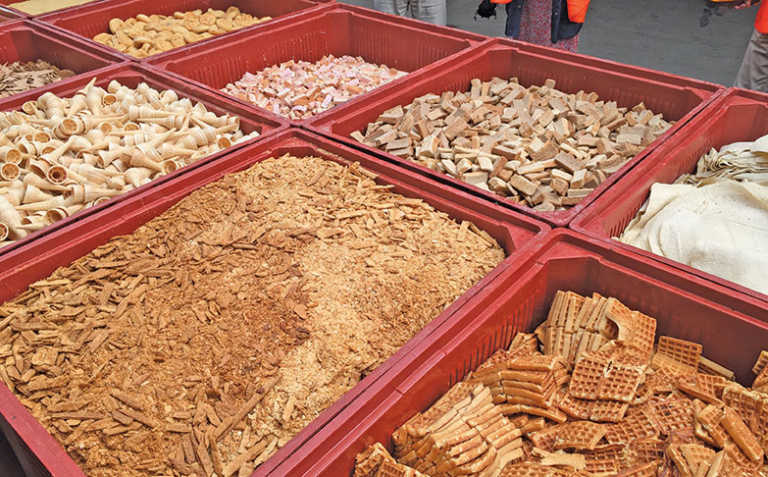 Dutch company’s success in turning food waste into feed