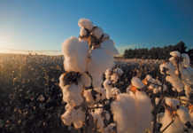 How long can SA’s farmers last?
