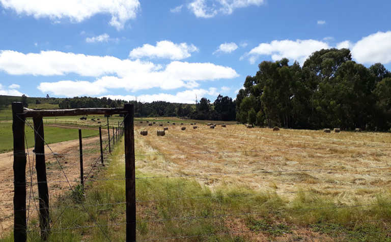 Land expropriation: DA threatens court action Land expropriation: DA threatens court action