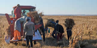‘Public-private teamwork must boost KZN small-scale farmers’