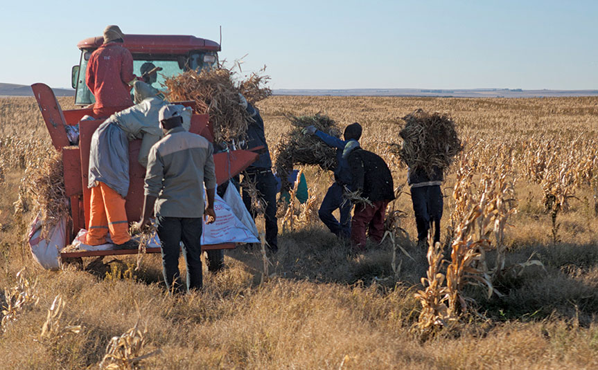 ‘Public-private teamwork must boost KZN small-scale farmers’