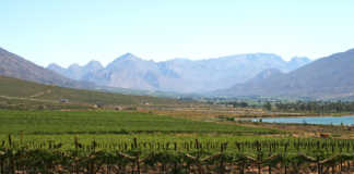 Western Cape farmers’ water allocations restored