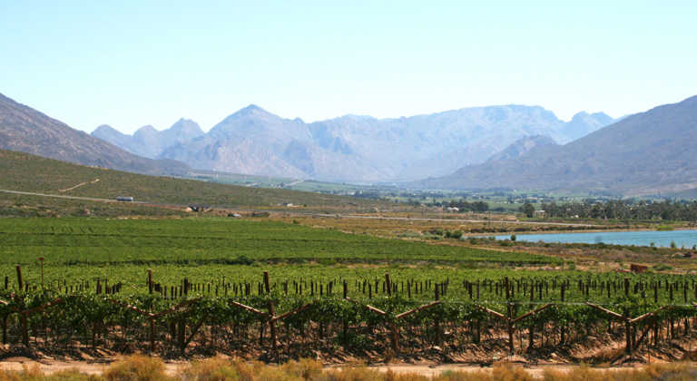 Western Cape farmers’ water allocations restored