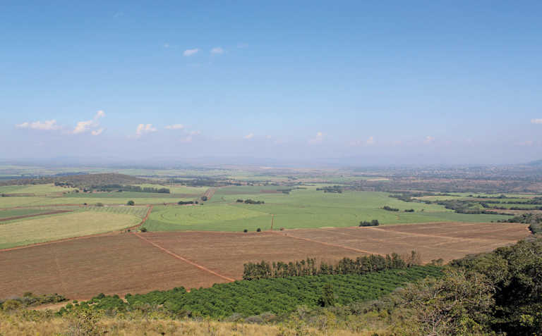 Land reform: Joint venture between seller and community pays off Land reform: Joint venture between seller and community pays off