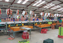 Good communication crucial for achieving profit